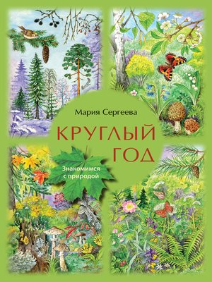 cover image of Круглый год